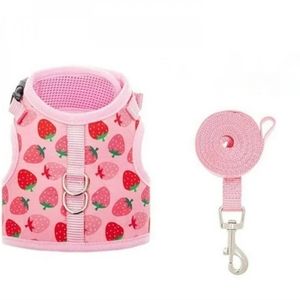 Cat/Dog Harness w/ Leash